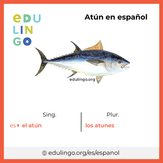 Imagen de vocabulario Atún en español con singular y plural para descargar e imprimir