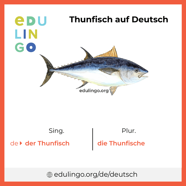 Thunfisch auf Deutsch Vokabelbild mit Singular und Plural zum Herunterladen und Ausdrucken