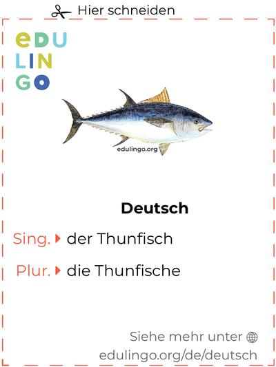 Thunfisch auf Deutsch Vokabelkartei zum Ausdrucken, Üben und Lernen
