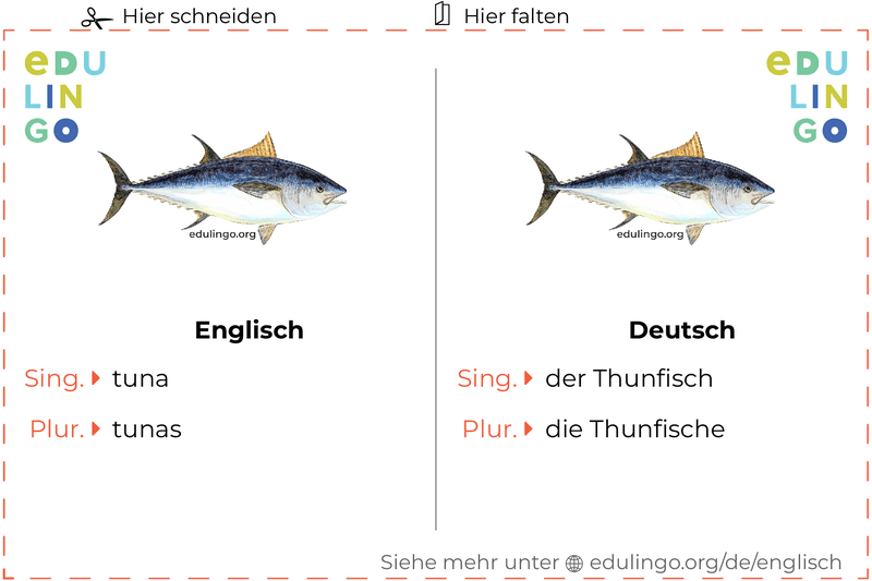Thunfisch auf Englisch Vokabelkartei zum Ausdrucken, Üben und Lernen