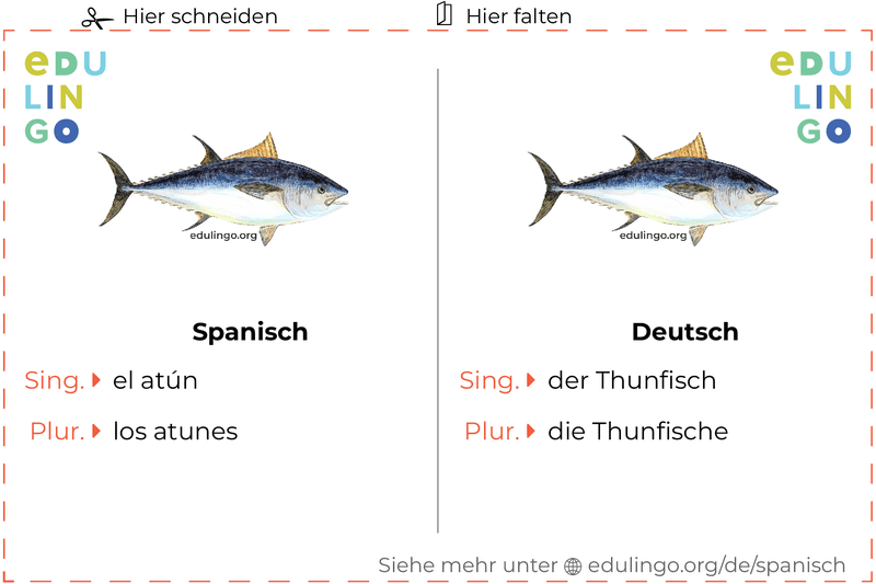 Thunfisch auf Spanisch Vokabelkartei zum Ausdrucken, Üben und Lernen