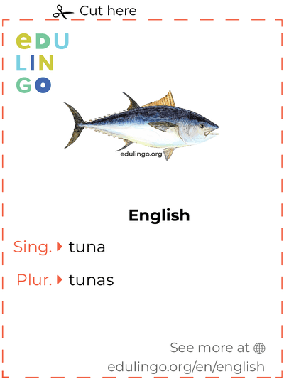 Tuna in English vocabulary flashcard for printing, practicing and learning