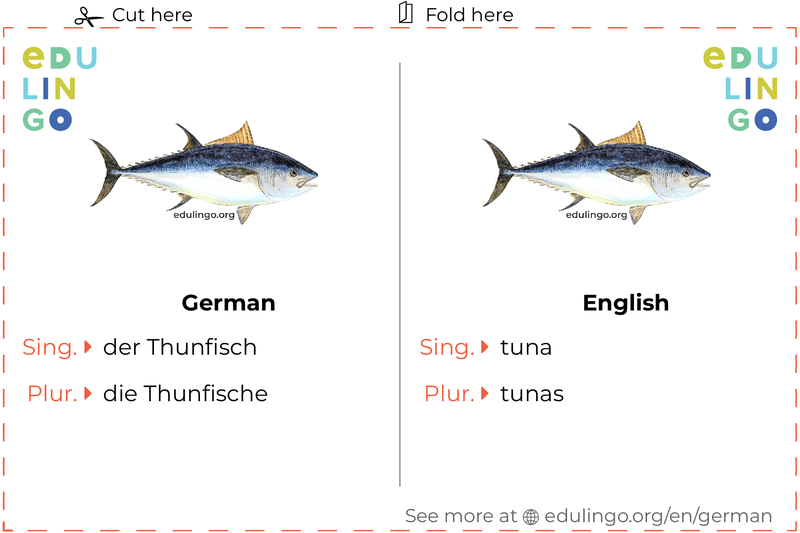 Tuna in German vocabulary flashcard for printing, practicing and learning