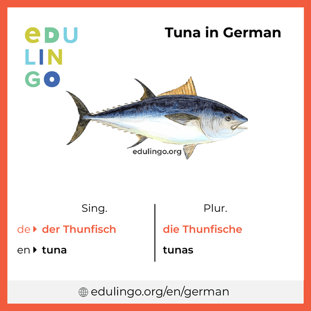 Tuna in German vocabulary picture with singular and plural for download and printing