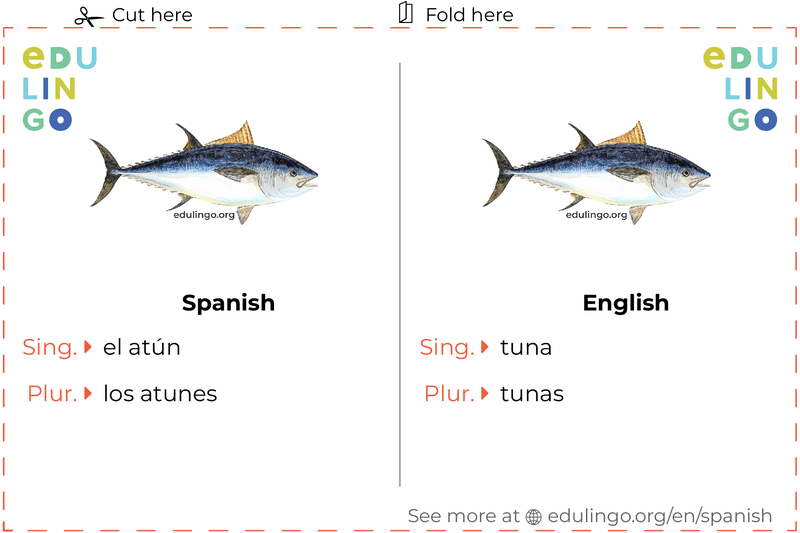 Tuna in Spanish vocabulary flashcard for printing, practicing and learning