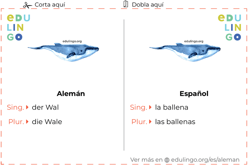 Ficha de Vocabulario Ballena en alemán para imprimir, practicar y aprender