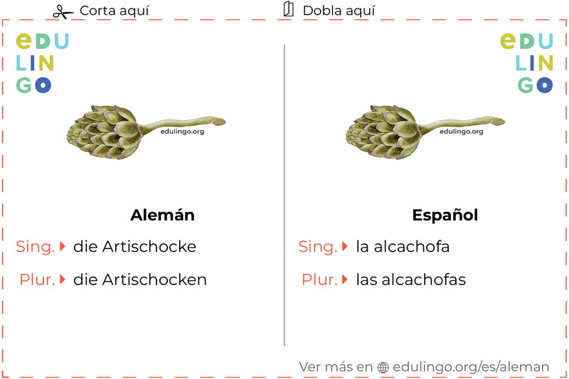 Ficha de Vocabulario Alcachofa en alemán para imprimir, practicar y aprender