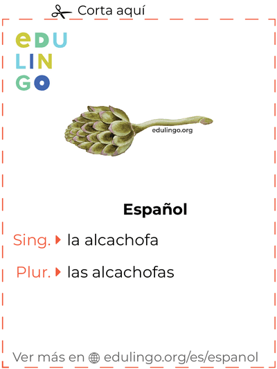Ficha de Vocabulario Alcachofa en español para imprimir, practicar y aprender