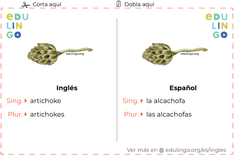 Ficha de Vocabulario Alcachofa en inglés para imprimir, practicar y aprender