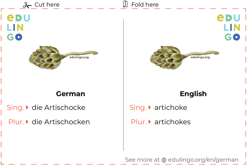Artichoke in German vocabulary flashcard for printing, practicing and learning