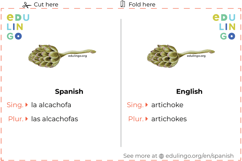 Artichoke in Spanish vocabulary flashcard for printing, practicing and learning