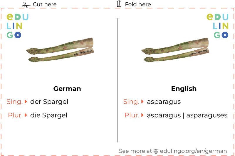 Asparagus in German vocabulary flashcard for printing, practicing and learning