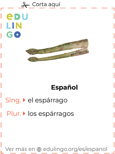 Ficha de Vocabulario Espárrago en español para imprimir, practicar y aprender