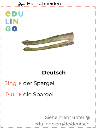 Spargel auf Deutsch Vokabelkartei zum Ausdrucken, Üben und Lernen