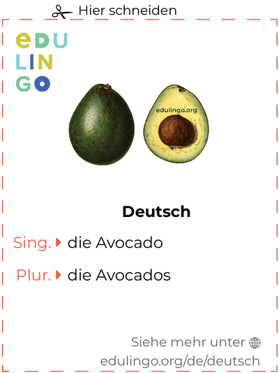 Avocado auf Deutsch Vokabelkartei zum Ausdrucken, Üben und Lernen