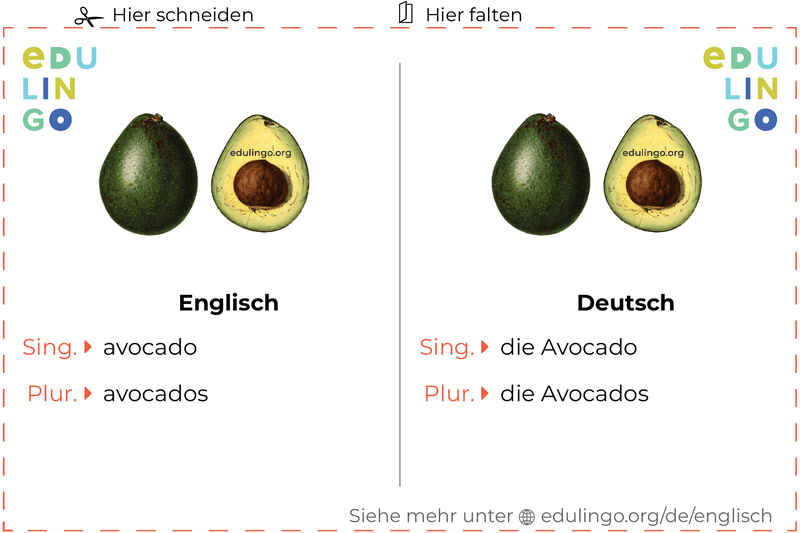 Avocado auf Englisch Vokabelkartei zum Ausdrucken, Üben und Lernen