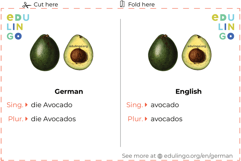 Avocado in German vocabulary flashcard for printing, practicing and learning