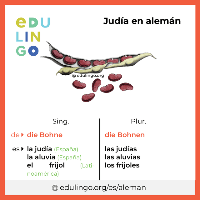 Imagen de vocabulario Judía en alemán con singular y plural para descargar e imprimir