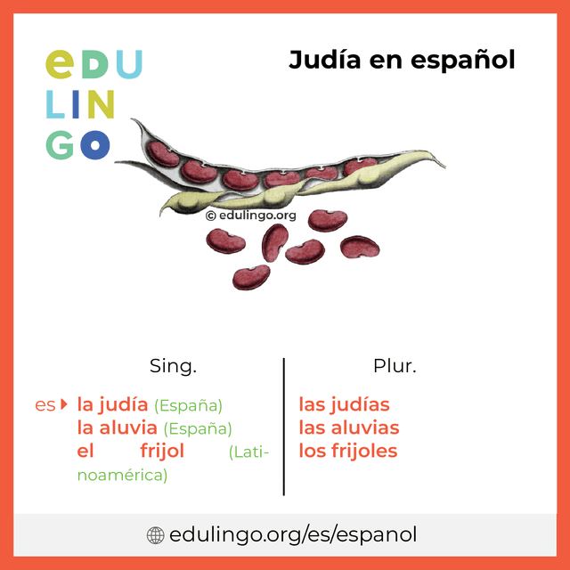 Imagen de vocabulario Judía en español con singular y plural para descargar e imprimir