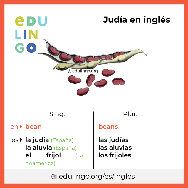 Imagen de vocabulario Judía en inglés con singular y plural para descargar e imprimir