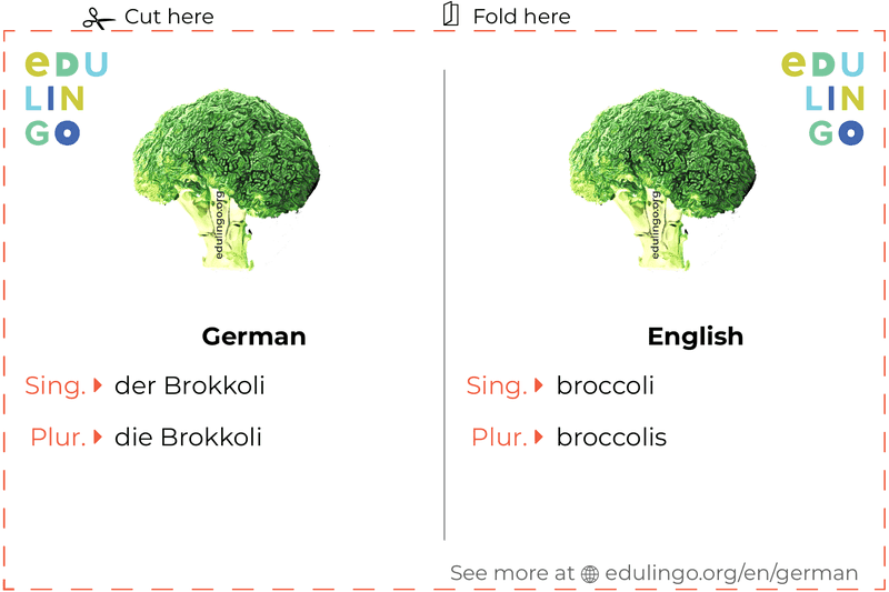 Broccoli in German vocabulary flashcard for printing, practicing and learning