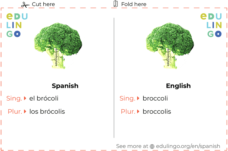 Broccoli in Spanish vocabulary flashcard for printing, practicing and learning