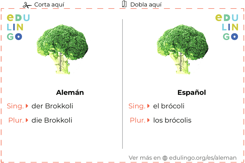 Ficha de Vocabulario Brócoli en alemán para imprimir, practicar y aprender