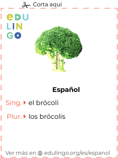 Ficha de Vocabulario Brócoli en español para imprimir, practicar y aprender