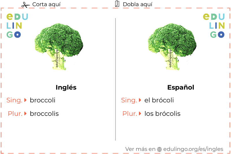 Ficha de Vocabulario Brócoli en inglés para imprimir, practicar y aprender