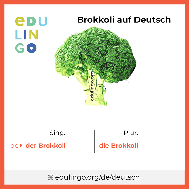 Brokkoli auf Deutsch Vokabelbild mit Singular und Plural zum Herunterladen und Ausdrucken