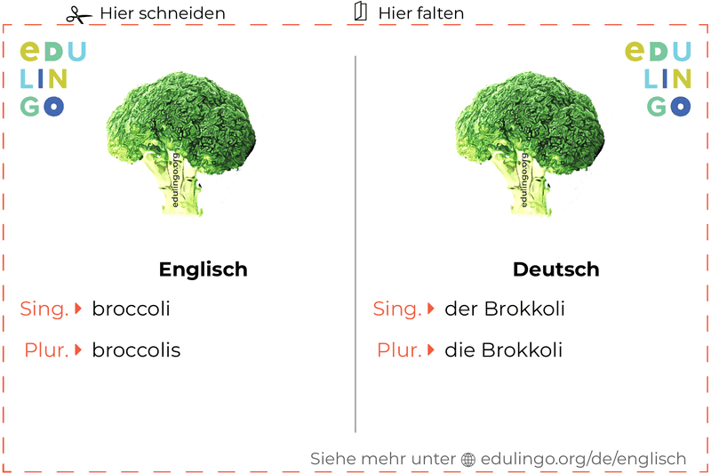 Brokkoli auf Englisch Vokabelkartei zum Ausdrucken, Üben und Lernen