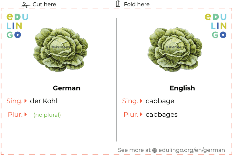 Cabbage in German vocabulary flashcard for printing, practicing and learning