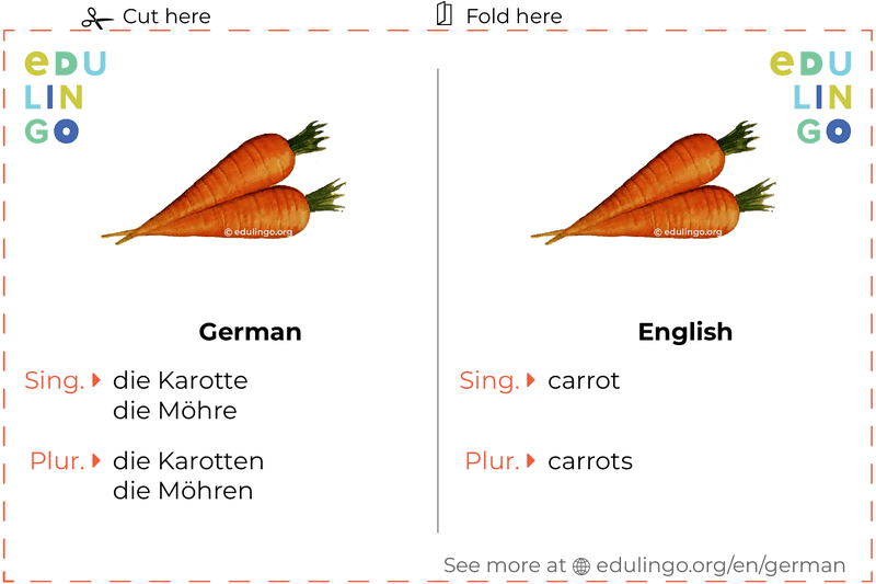 Carrot in German vocabulary flashcard for printing, practicing and learning