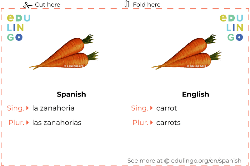 Carrot in Spanish vocabulary flashcard for printing, practicing and learning