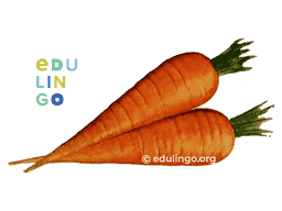 Vorschaubild: Karotte auf Englisch