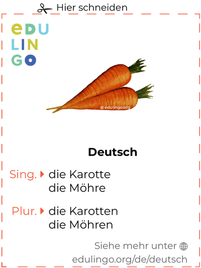 Karotte auf Deutsch Vokabelkartei zum Ausdrucken, Üben und Lernen