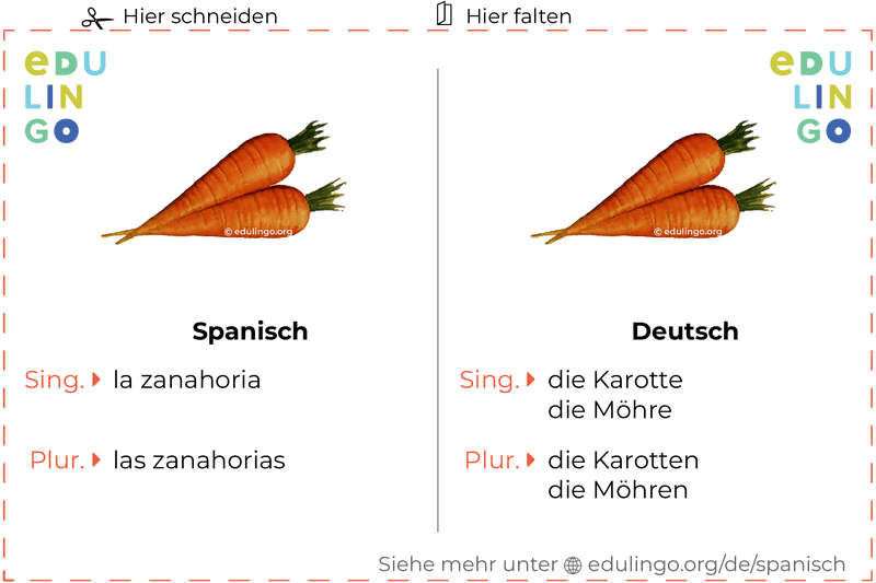 Karotte auf Spanisch Vokabelkartei zum Ausdrucken, Üben und Lernen