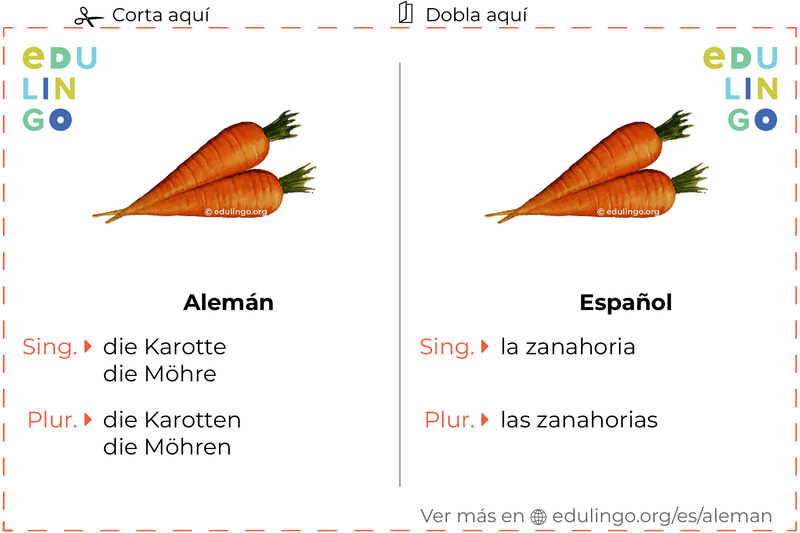 Ficha de Vocabulario Zanahoria en alemán para imprimir, practicar y aprender