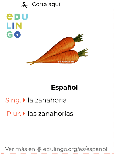 Ficha de Vocabulario Zanahoria en español para imprimir, practicar y aprender