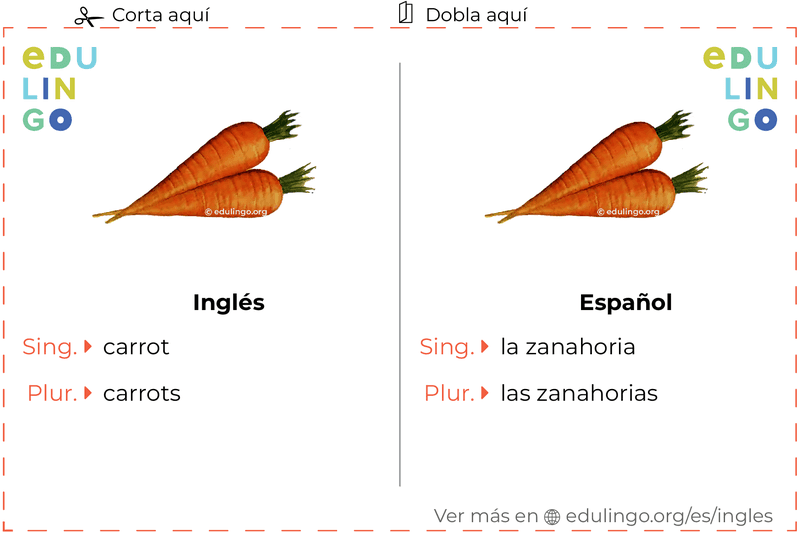 Ficha de Vocabulario Zanahoria en inglés para imprimir, practicar y aprender