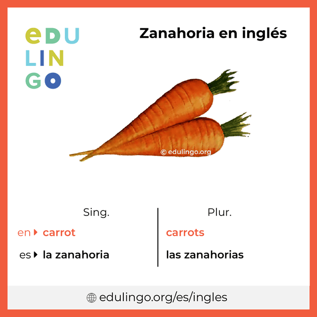 Imagen de vocabulario Zanahoria en inglés con singular y plural para descargar e imprimir
