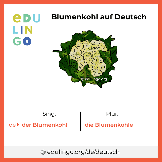 Blumenkohl auf Deutsch Vokabelbild mit Singular und Plural zum Herunterladen und Ausdrucken