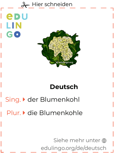Blumenkohl auf Deutsch Vokabelkartei zum Ausdrucken, Üben und Lernen
