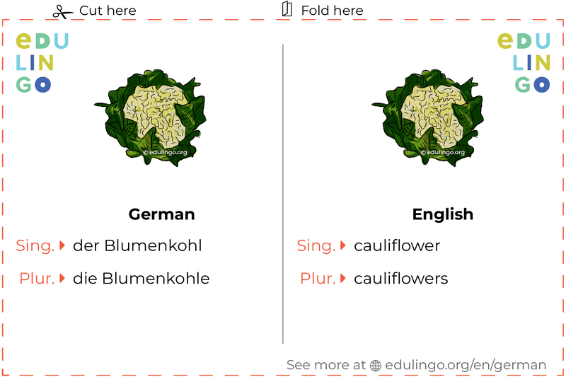 Cauliflower in German vocabulary flashcard for printing, practicing and learning