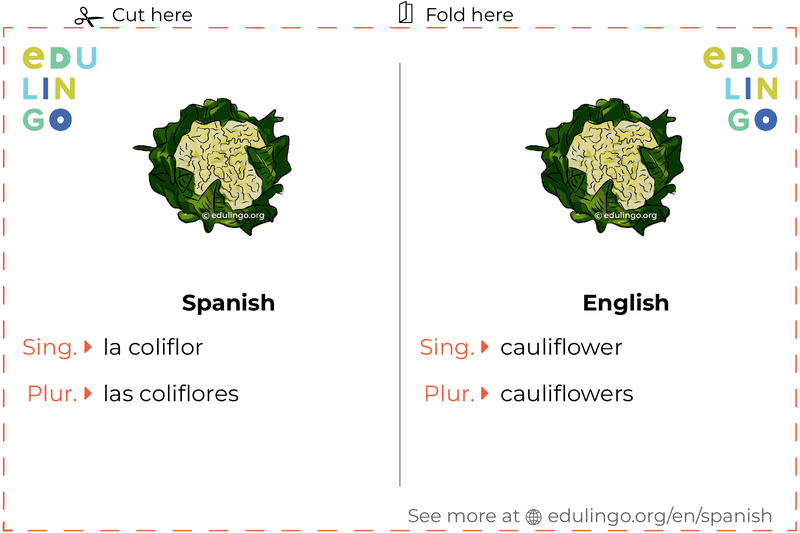 Cauliflower in Spanish vocabulary flashcard for printing, practicing and learning