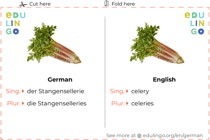 Celery in German vocabulary flashcard for printing, practicing and learning
