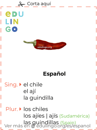 Ficha de Vocabulario Chile en español para imprimir, practicar y aprender
