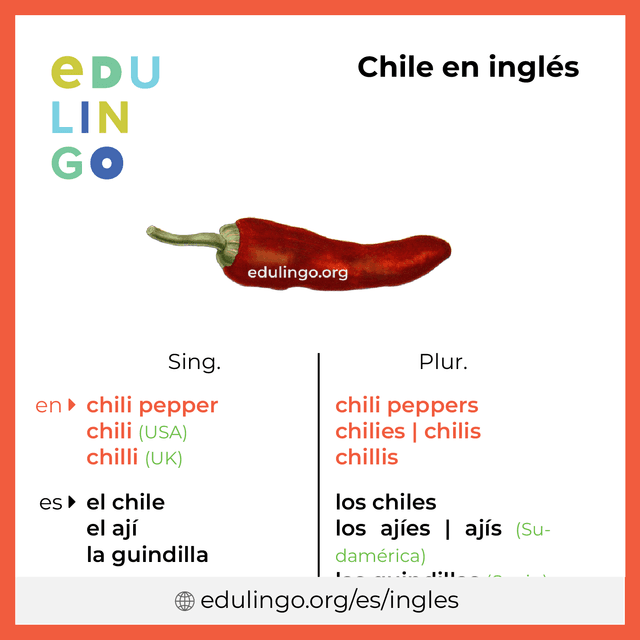 Imagen de vocabulario Chile en inglés con singular y plural para descargar e imprimir