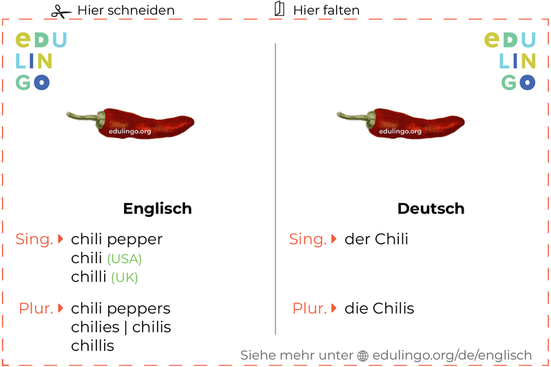 Chili auf Englisch Vokabelkartei zum Ausdrucken, Üben und Lernen