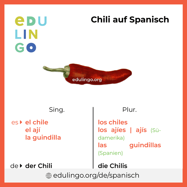 Chili auf Spanisch Vokabelbild mit Singular und Plural zum Herunterladen und Ausdrucken